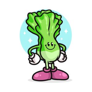 Hand drawn lettuce cartoon illustration